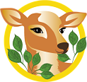D7-Deerfield Park Elementary School